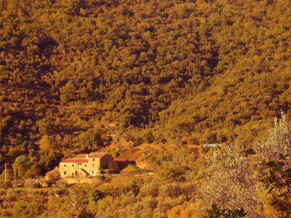 קורטונה Locanda San Martino A Bocena מראה חיצוני תמונה
