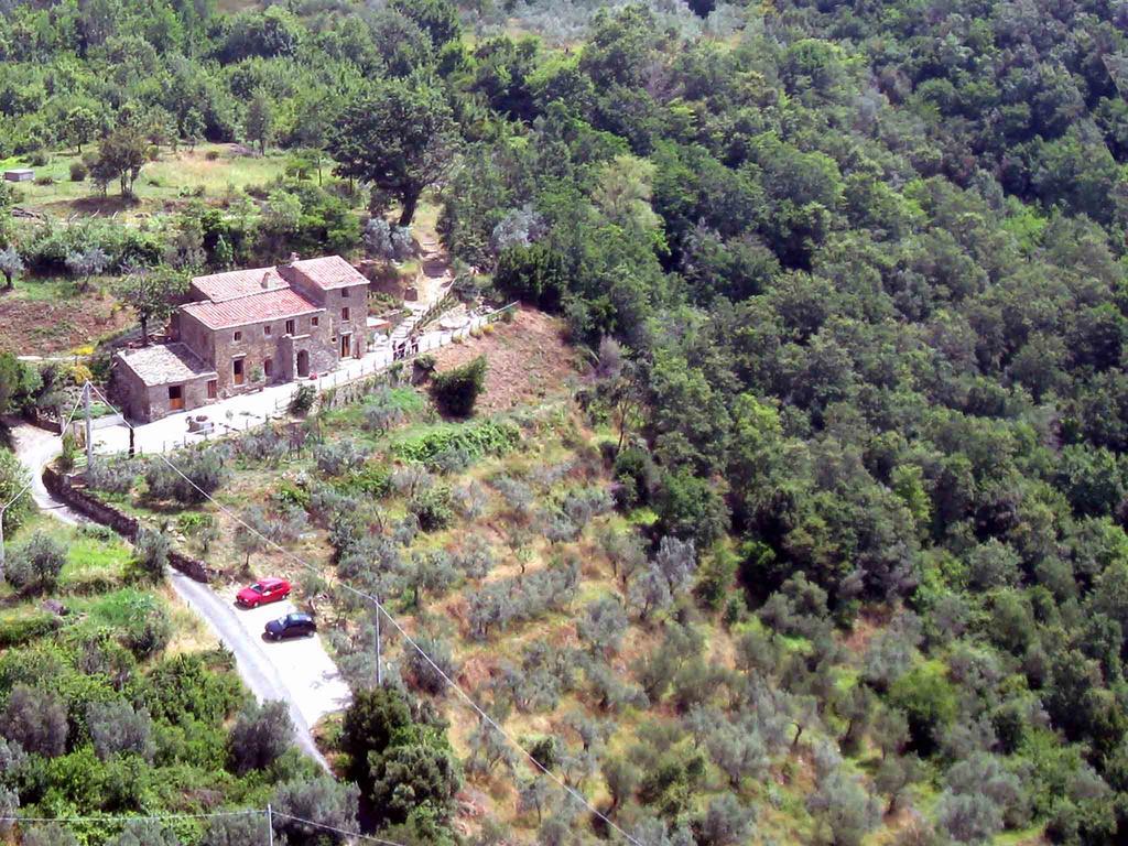 קורטונה Locanda San Martino A Bocena מראה חיצוני תמונה