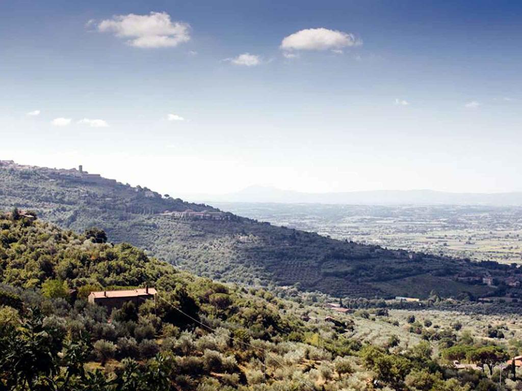 קורטונה Locanda San Martino A Bocena מראה חיצוני תמונה